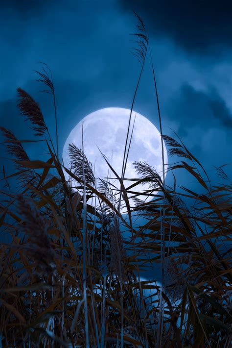 The Blue Moon's Role in Healing and Self-Discovery